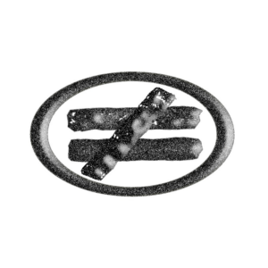 Untitled design (17)